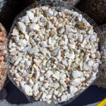 Biała Marianna Light 8 - 16 mm